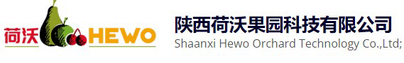 新疆景曦农业科技有限公司/陕西荷沃果园科技公司