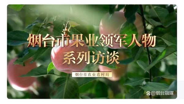 “烟台果业领军人物”系列访谈——龙口市南村果园果业有限公司邵刚